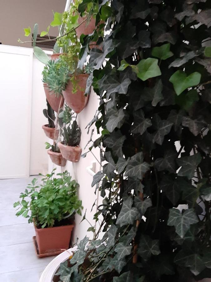 Bed and Breakfast Litium 3 Lecce Exterior foto